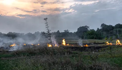 Pachamama en llamas: crisis ambiental, ética filosófica y el deber universitario ante el colapso ecológico